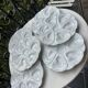 6 assiettes à huîtres majolique