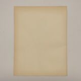 Rotogravure - Karl Blossfeldt