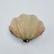 French Art Deco shell wall sconce – amber glass, 1960s