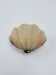 French Art Deco shell wall sconce – amber glass, 1960s