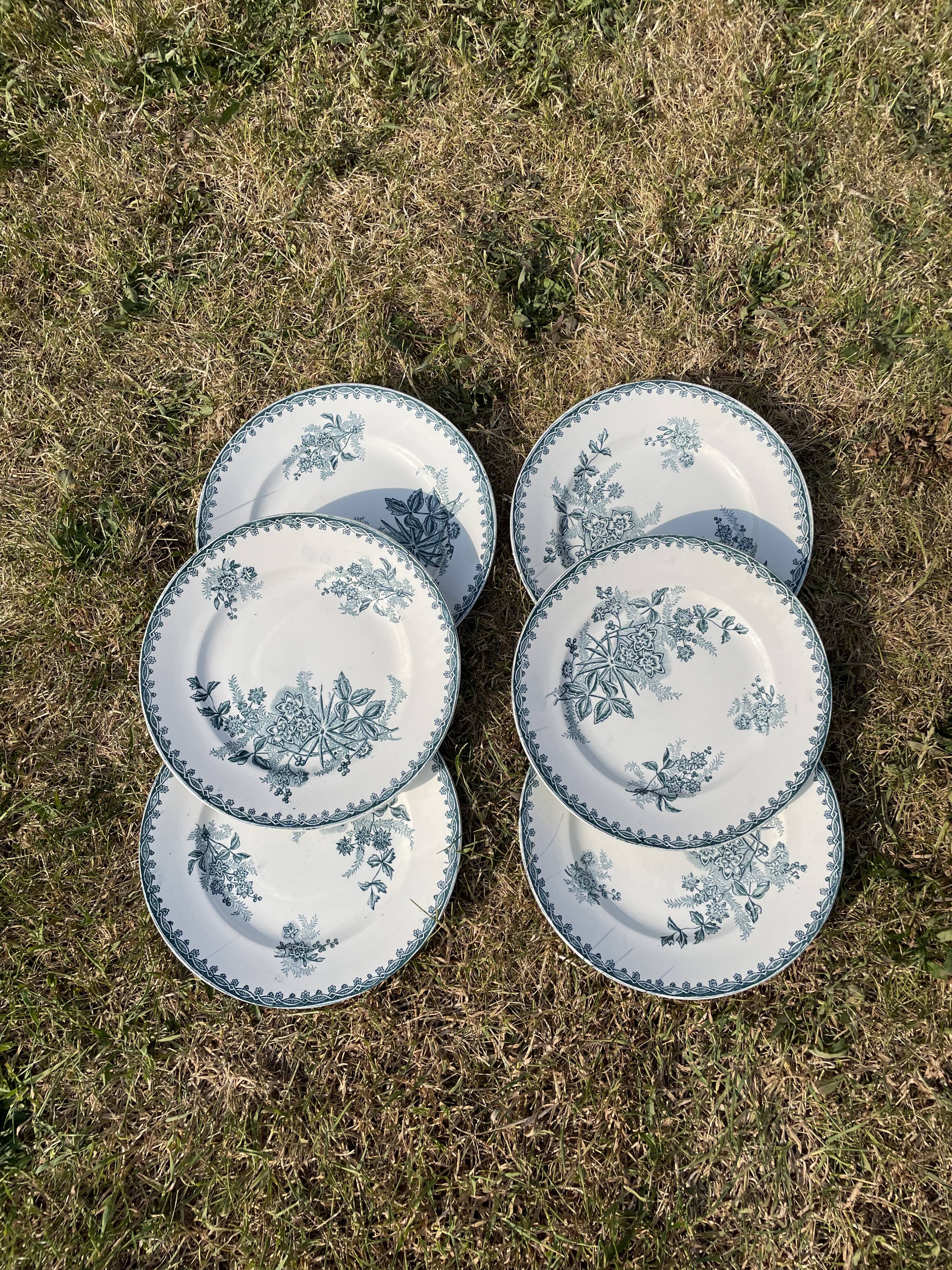 Set of 6 plates Terre de Fer model Margot Sté Amandinoise