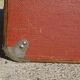 Old curved travel trunk