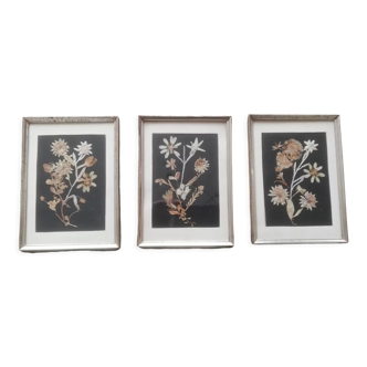 3 vintage frames