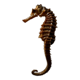 Dry seahorse