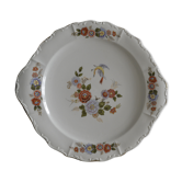 Dish