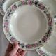 Limoges Bernardaud 5 Deep Plates in porcelain