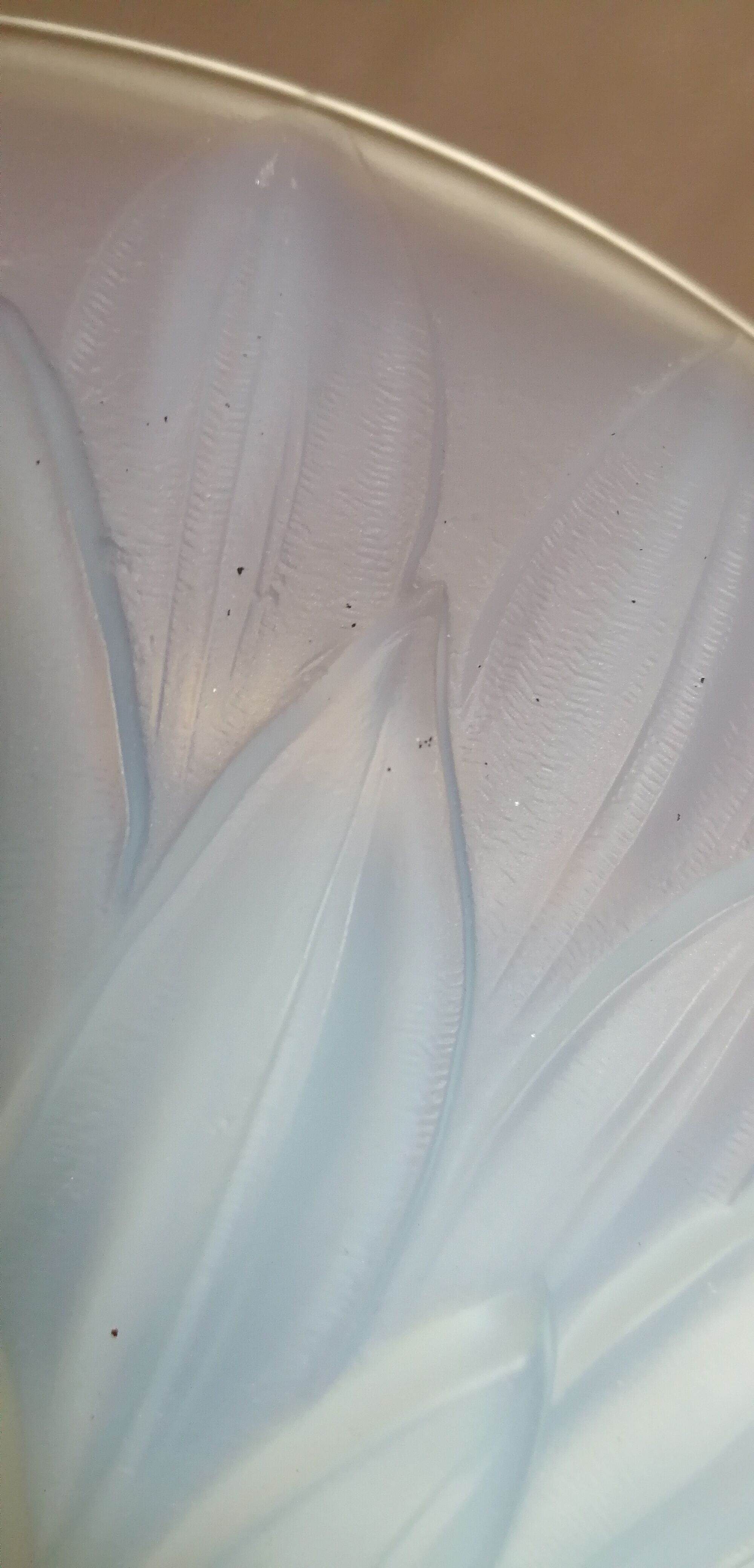 Coupe en verre opalescent  art déco etling france 145 vers 1930