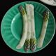 French antique asparagus plates in majolica