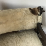 Side Chairs in Lambs Wool, Set of 2