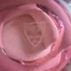 Old Bayel crystal cup