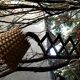 Flexible wall wall light in Scandinavian accordion 60s