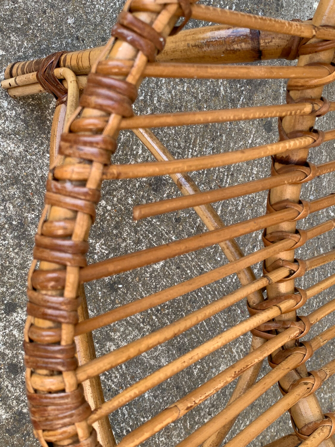 Pair of vintage shell armchairs 1950