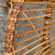 Paire de fauteuils coquille vintage 1950