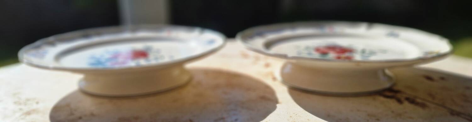 Paire de présentoirs sur petit piédouche Villeroy Boch modèle 1562