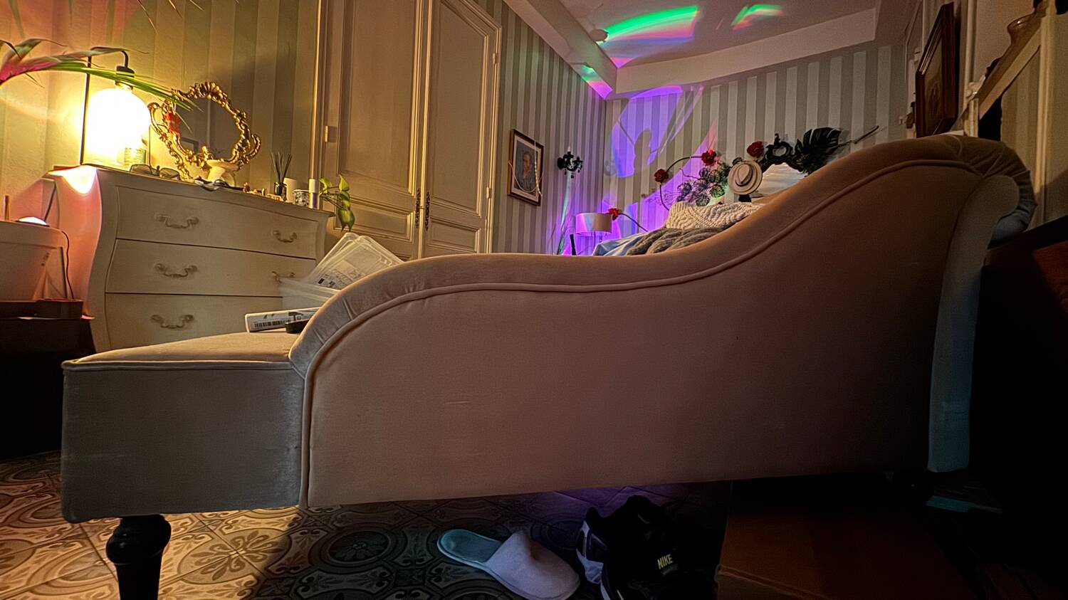 Velvet daybed