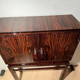 Tall Art Deco Cabinet in Macassar Veneer and Mahogany, France, 1930s