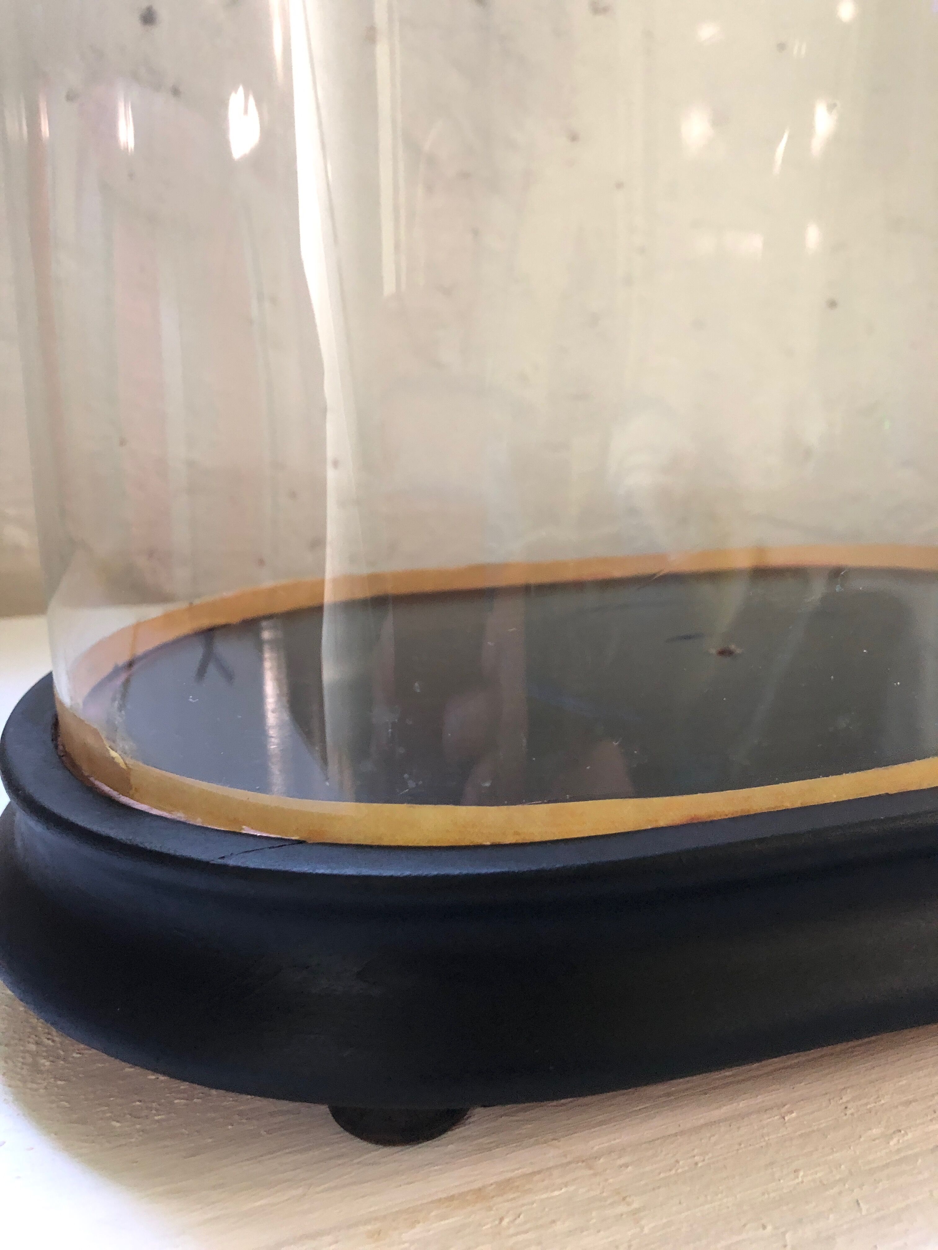 Globe bride, Napoleon III, old, vintage