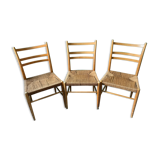 Set of 3 Scandinavian Chairs Gracell. Swedish design by Yngve Ekström in 1956.