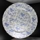 Large “thousand flowers” plate david johnston circa 1840