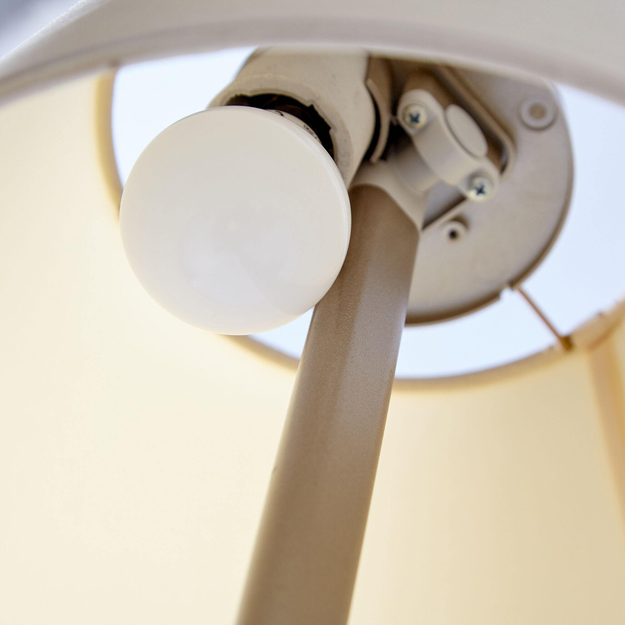 Adrien Gardère Melampo wall fixture