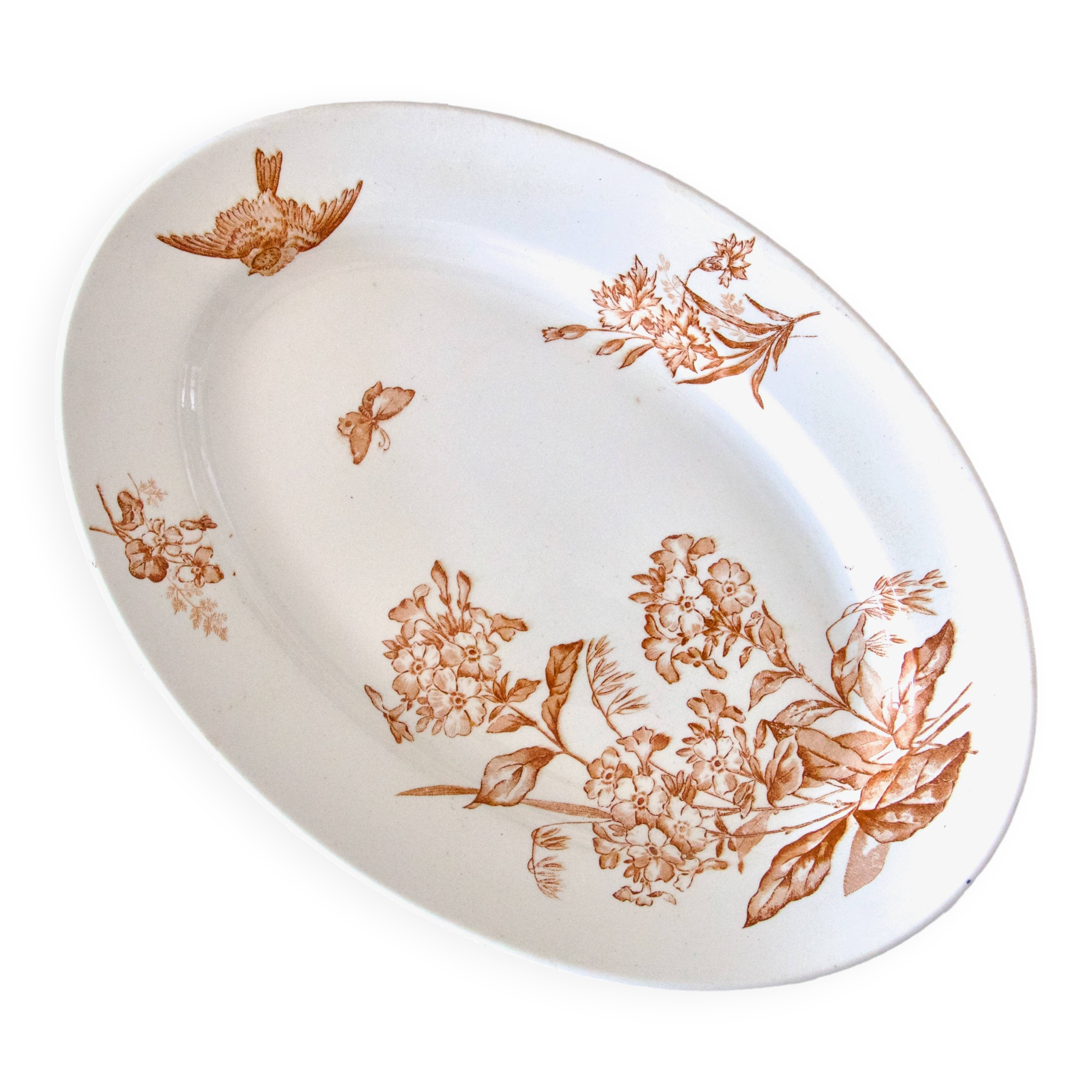 Grand plat ovale XIXe Longwy terre de fer sépia "Botanique" oiseau