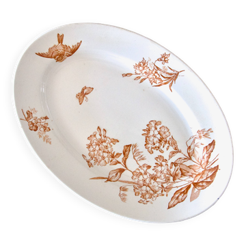 Large oval dish 19th century Longwy iron earth sepia "Botanical" bird