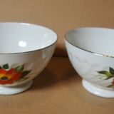 2 anciens bols vintage sarreguemines