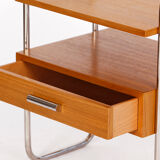 Contemporary Tubular Steel Sideboard Czech Functionalism Bauhaus