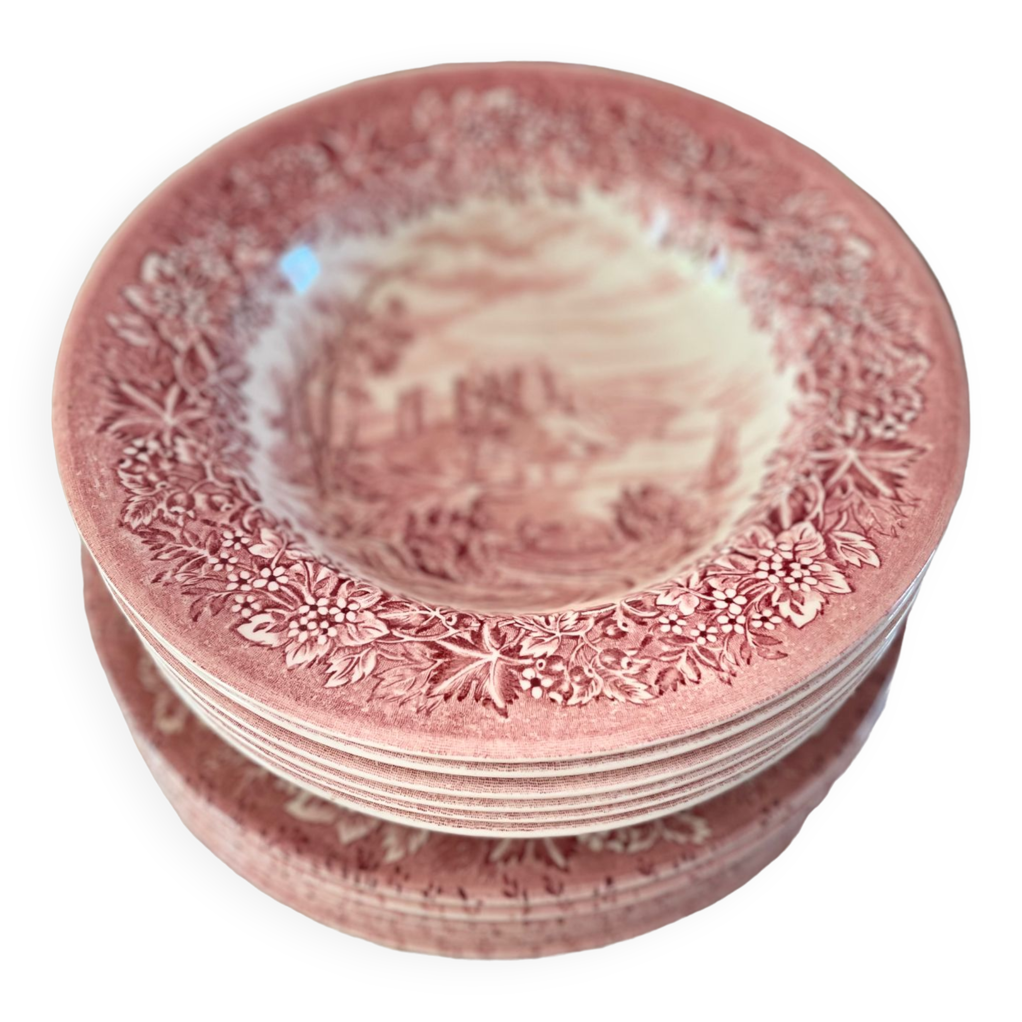 Lot 6 flat plates and 6 hollow English Iron Earth English Ironstone