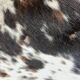 Norman cowhide ht 240 x 230