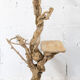 Lampadaire en bois brut