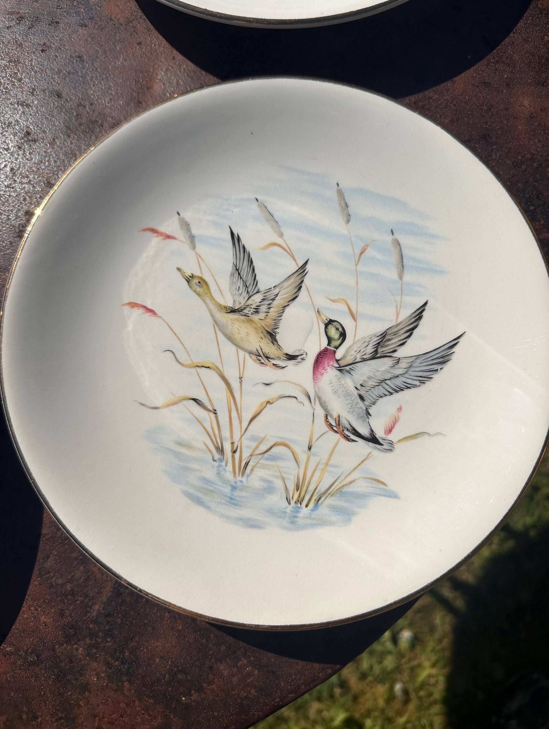 Set of 5 flat plates in Gien earthenware, Primefleur collection.