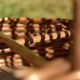 Wicker bottle holder basket with slots for plates and glasses - 1970s