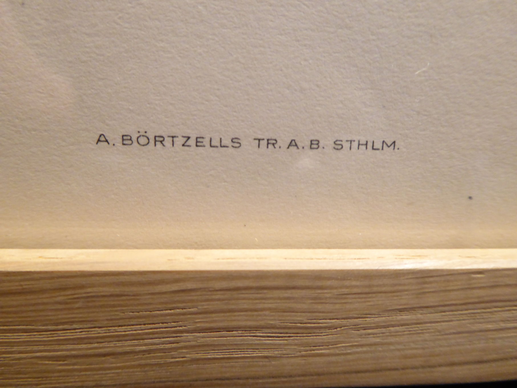 Natural History Color Lithography Tridactyl Pic 1929