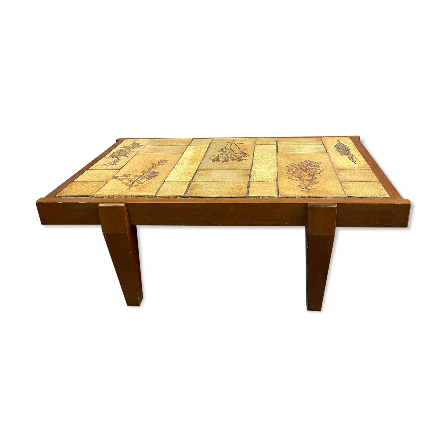 Coffee table in wood and ceramic herbarium