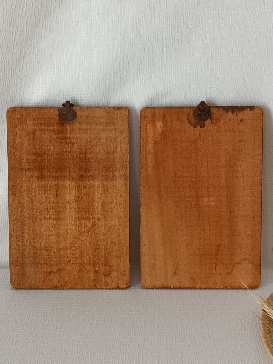 Vintage botanical boards frames