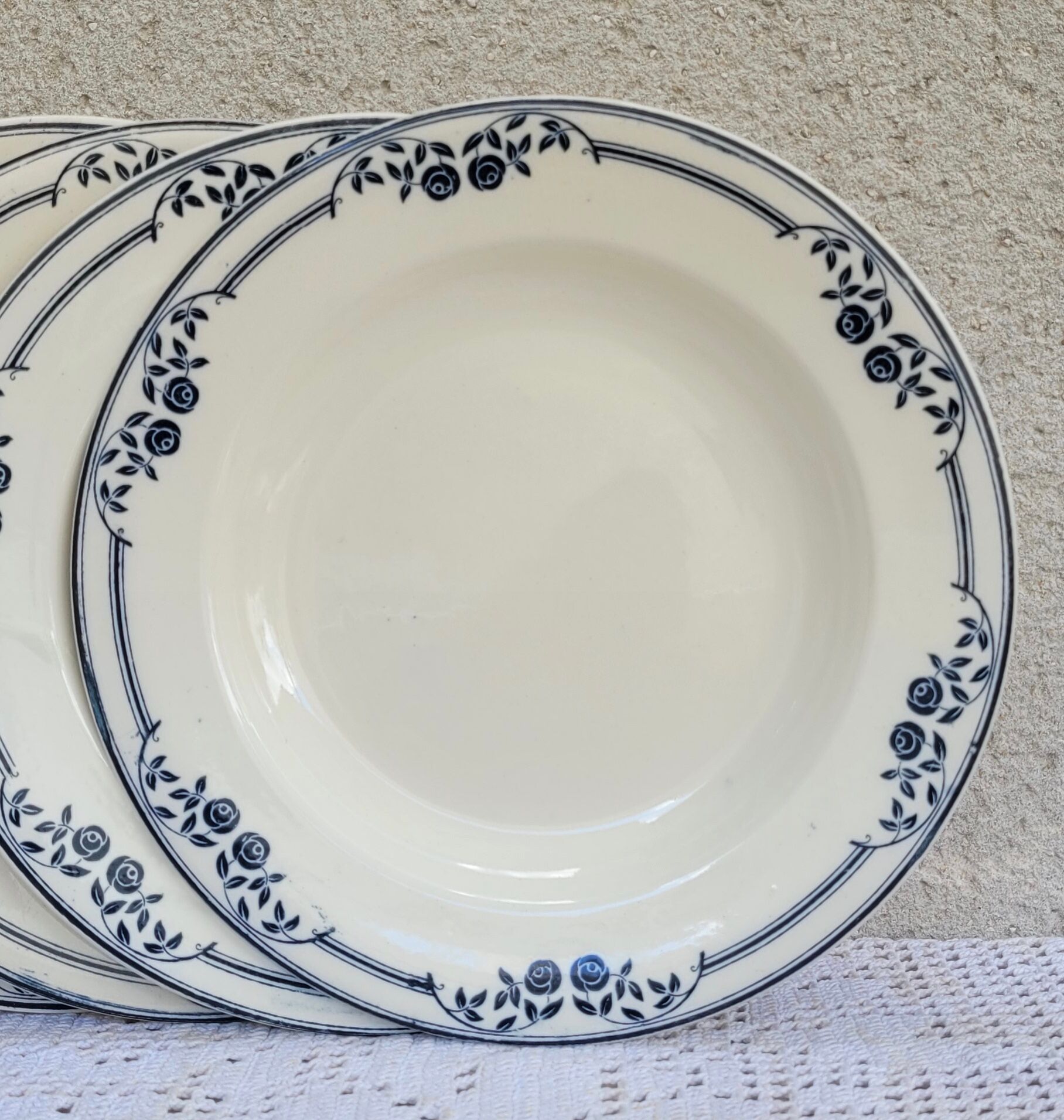 Set of 6 hollow plates Salins Model Saussure A.B.Terre de Fer