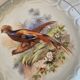 Bird dessert plates