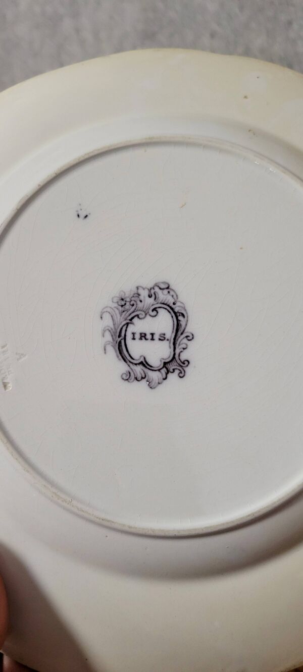 Ensemble de 6 assiettes plus 1 en porcelaine Anglaise époque début XXeme