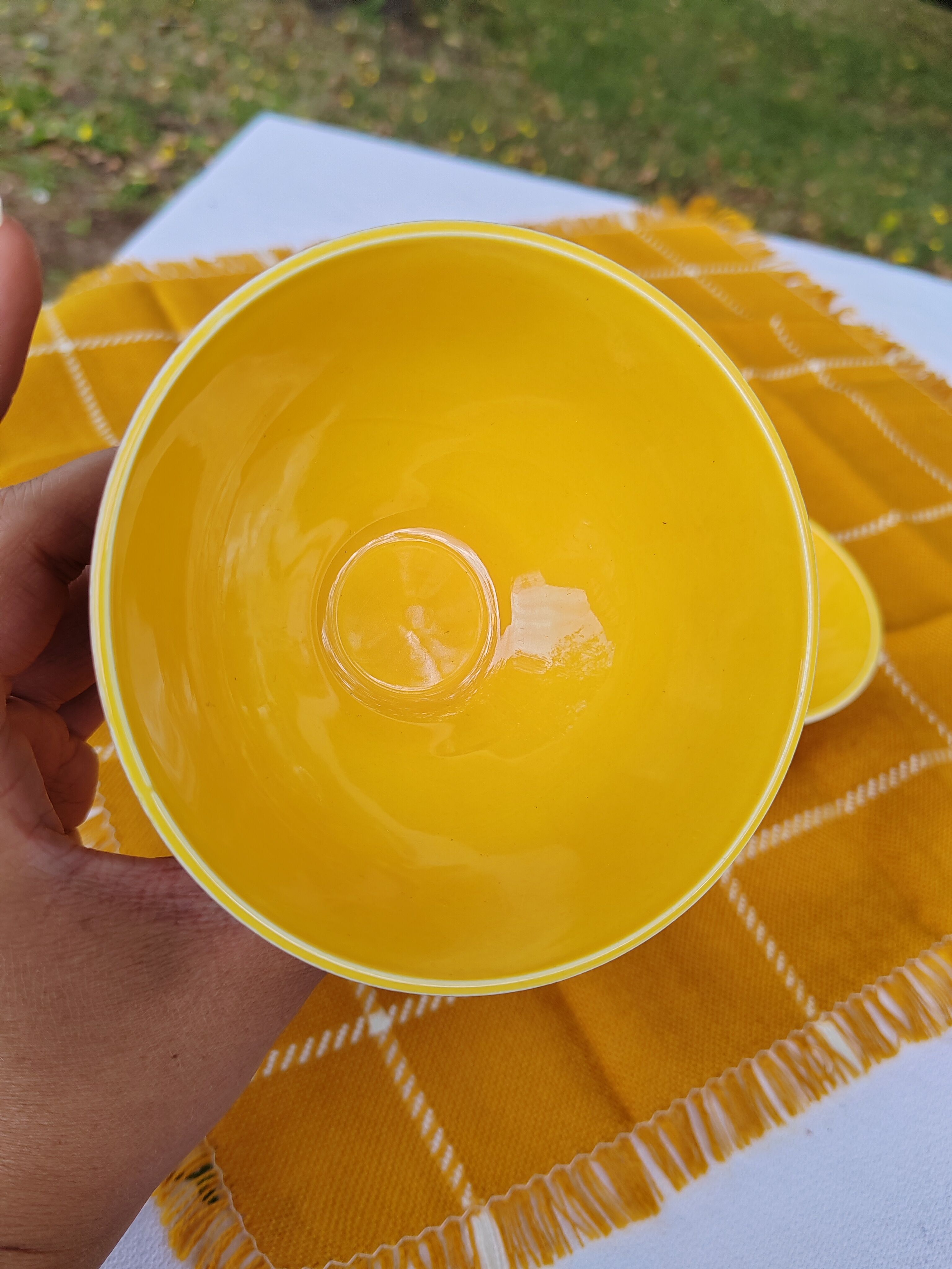 Pair of brown/yellow ribbed bowls - Digoin & Sarreguemines