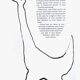 Alexandre CALDER - The OIE