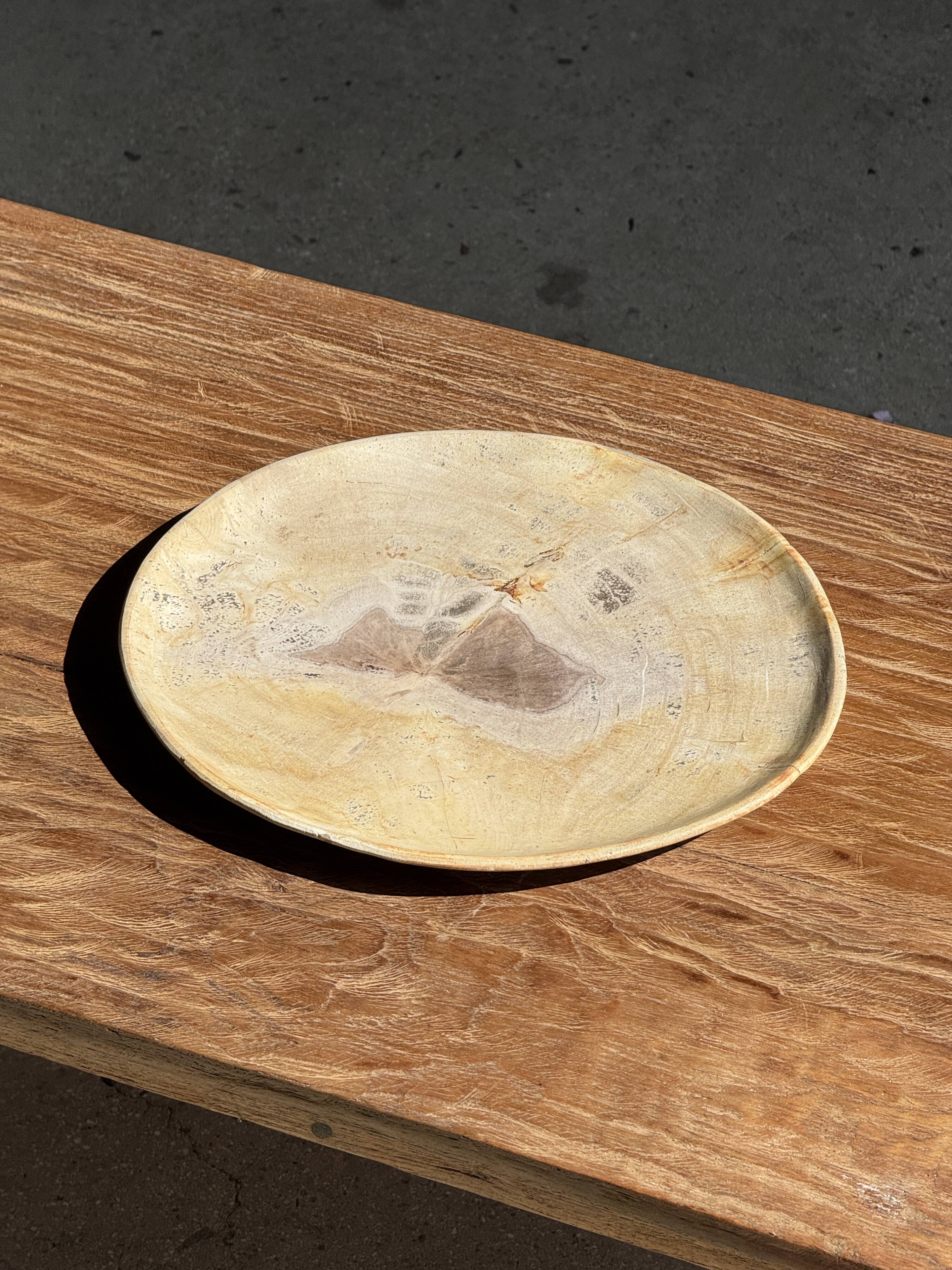Petrified wood catchall or dish, beige with a brown spot in the centre, D24-27 -377.