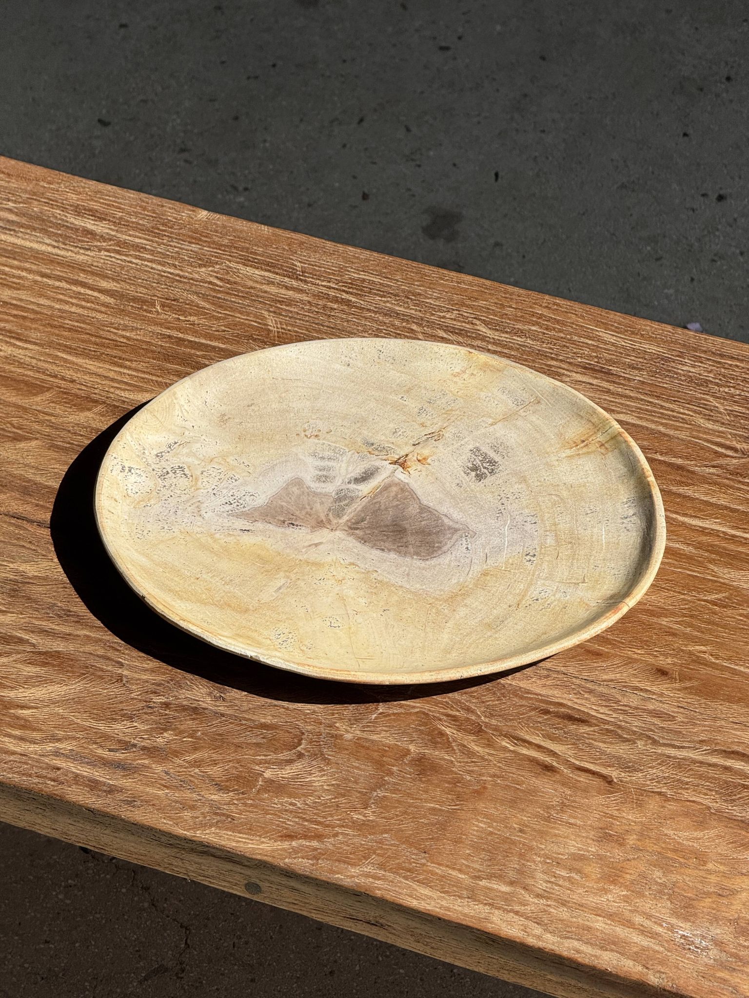 Petrified wood catchall or dish, beige with a brown spot in the centre, D24-27 -377.