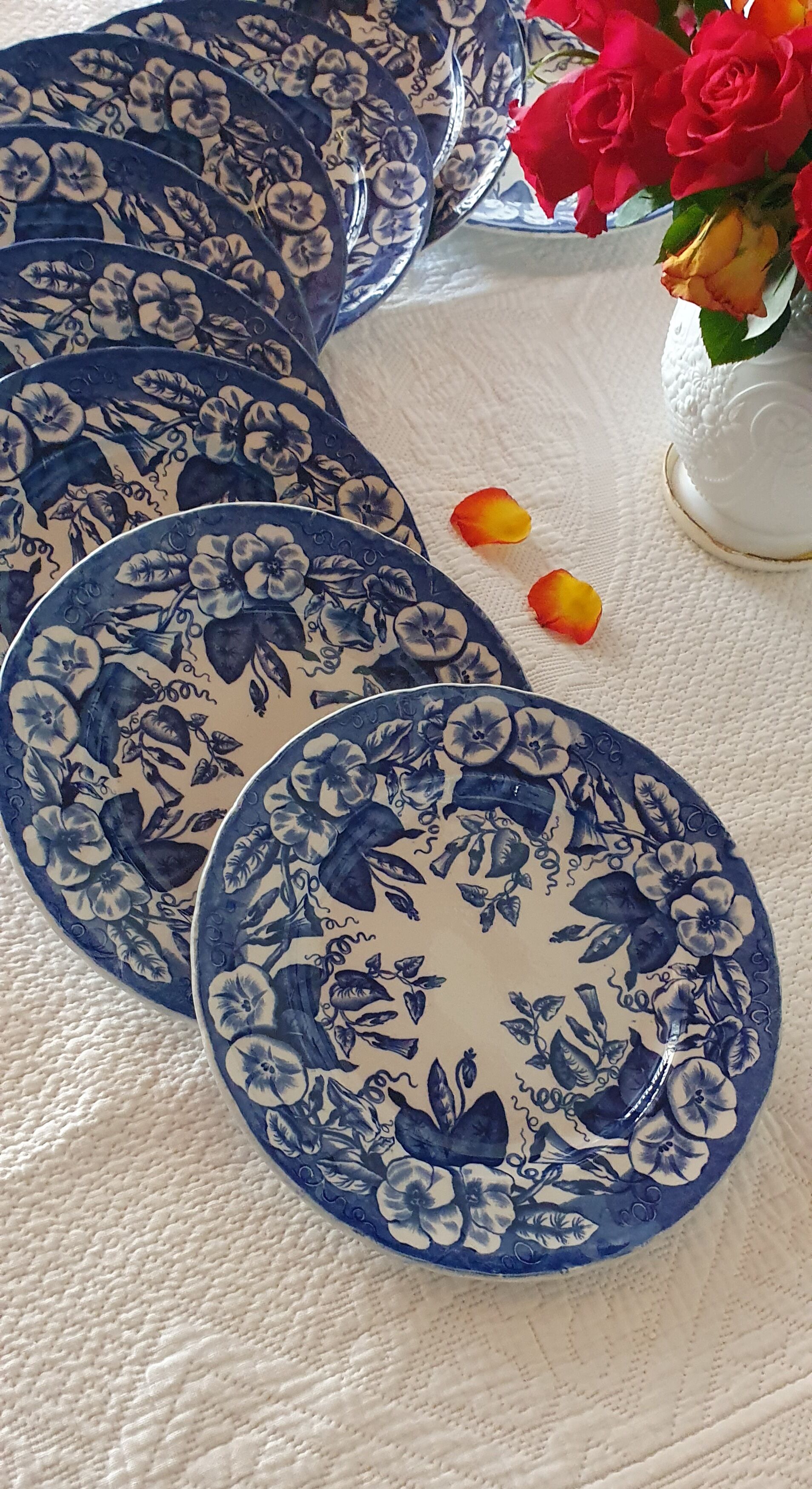 Plates Faience Vieillard