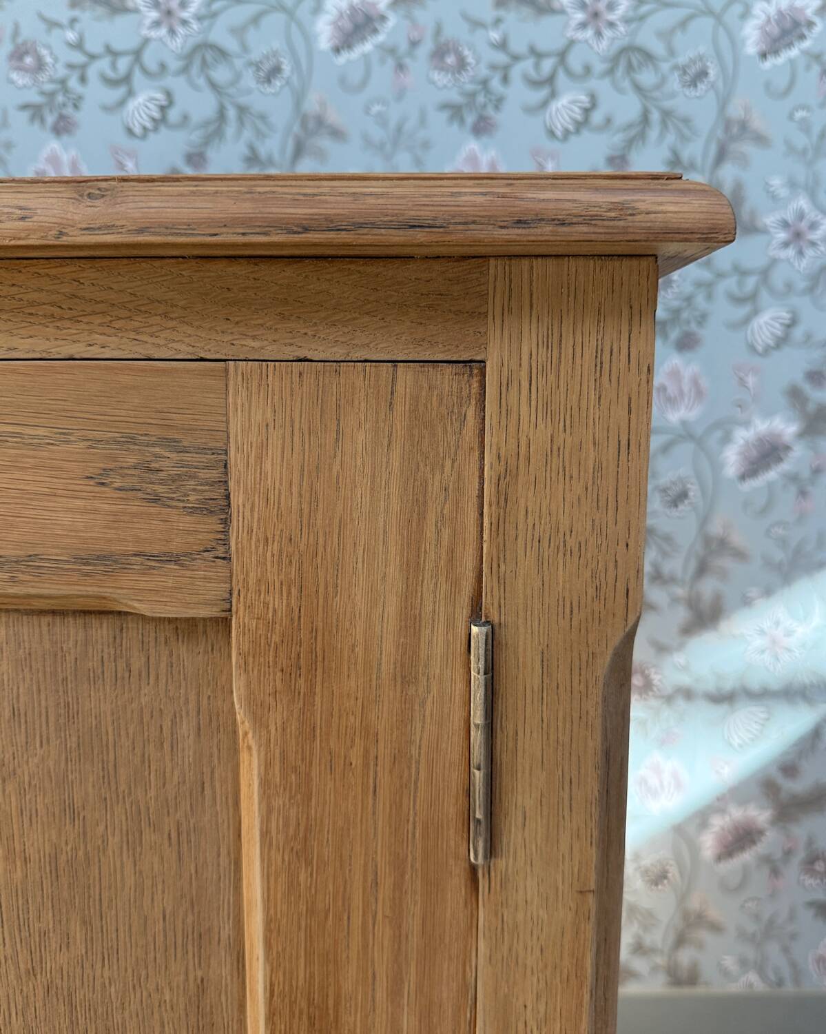 Oak plan cabinet / trade cabinet (renovated)