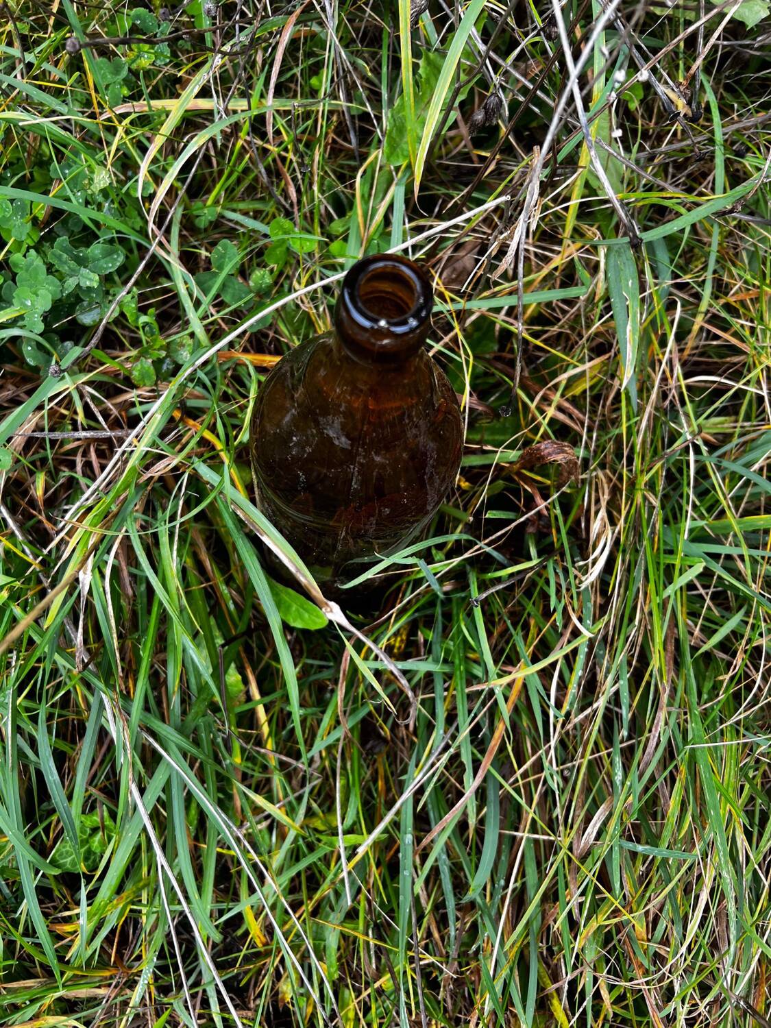 Bouteilles en verre décoratives