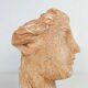 Head of Aphrodite In Platre