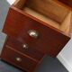 Dutch Industrial Mahogany Apothecary Cabinet, Mid-20th Century