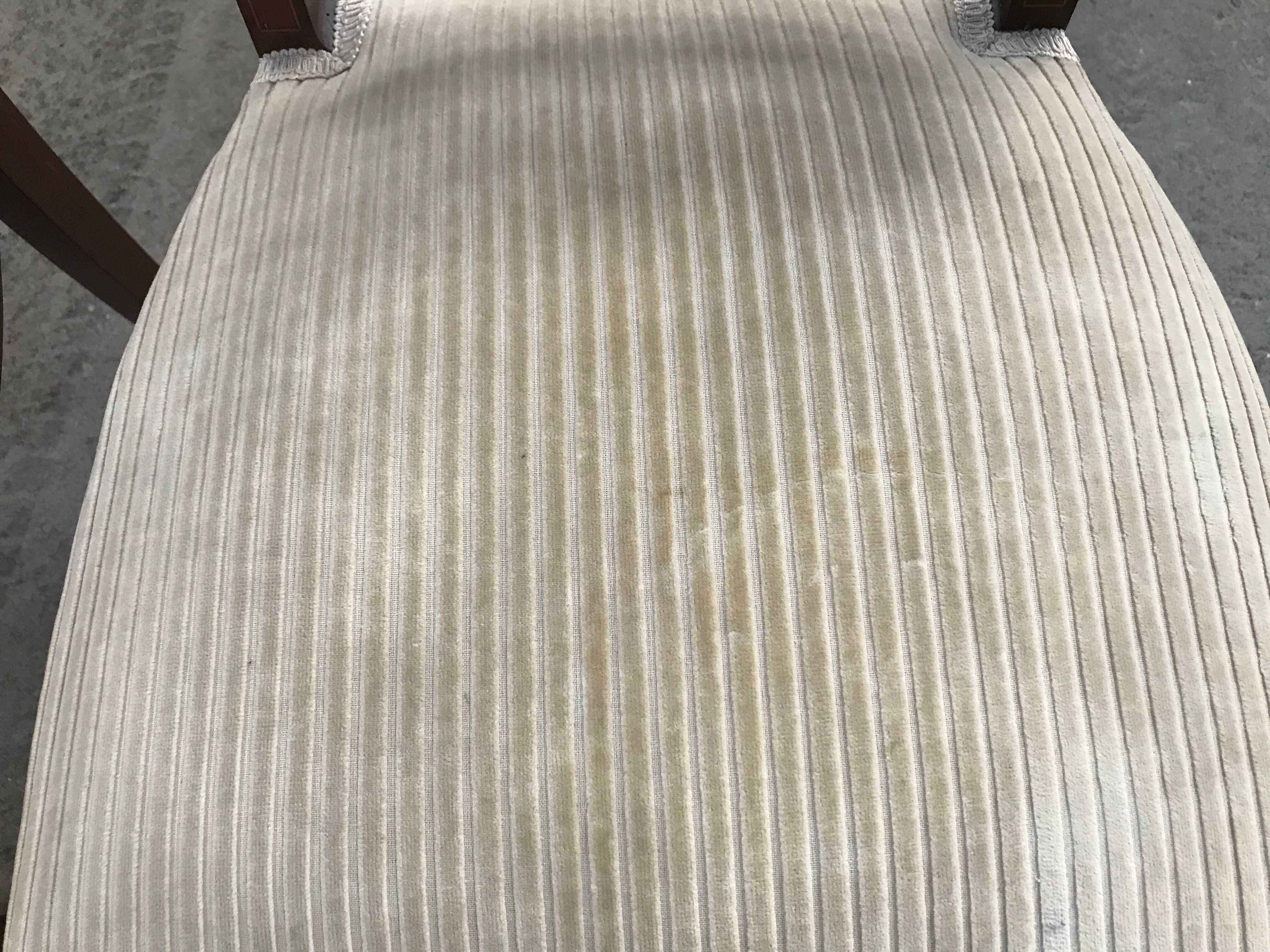 Pair of English chairs in beige velvet