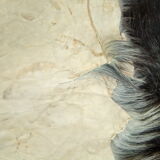 Skin from Tibet 187x160cm